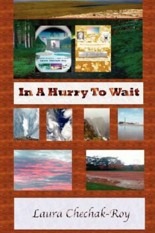Carte In A Hurry To Wait Laura Chechak-Roy