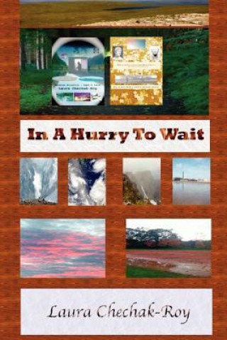 Book In A Hurry To Wait Laura Chechak-Roy