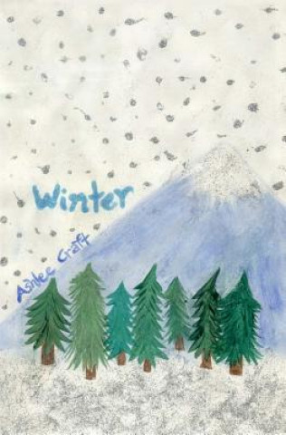 Knjiga Winter Ashlee Craft