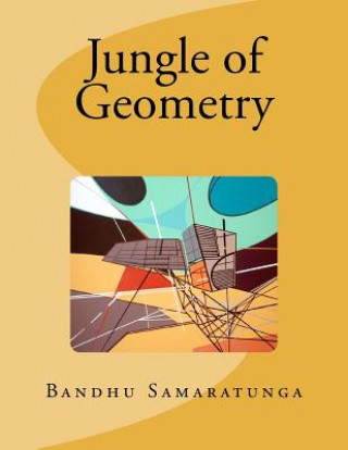 Книга Jungle of Geometry MR Bandhu Samaratunga