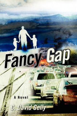 Kniha Fancy Gap C David Gelly