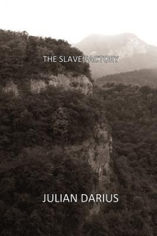 Kniha The Slave Factory Julian Darius