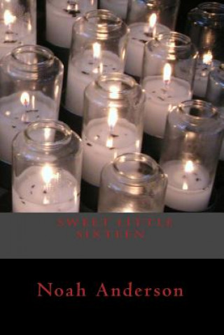 Boek Sweet Little Sixteen Noah F Anderson