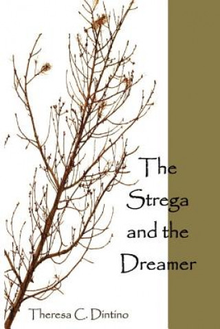 Book The Strega and the Dreamer Theresa C Dintino