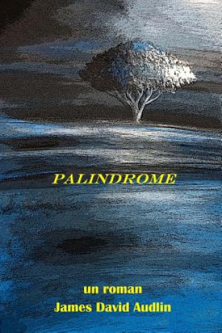 Buch Palindrome James David Audlin