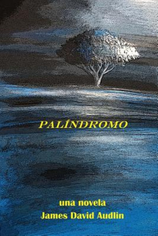 Knjiga Palindromo James David Audlin