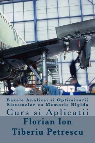 Könyv Bazele Analizei Si Optimizarii Sistemelor Cu Memorie Rigida Florian Ion Tiberiu Petrescu