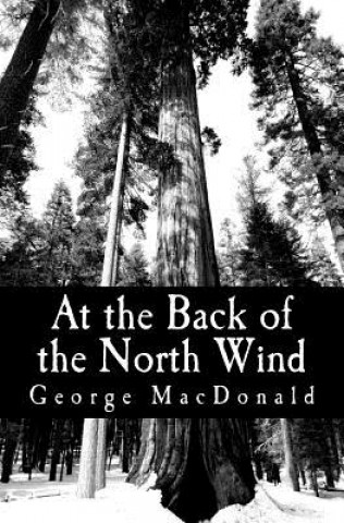 Kniha At the Back of the North Wind George MacDonald