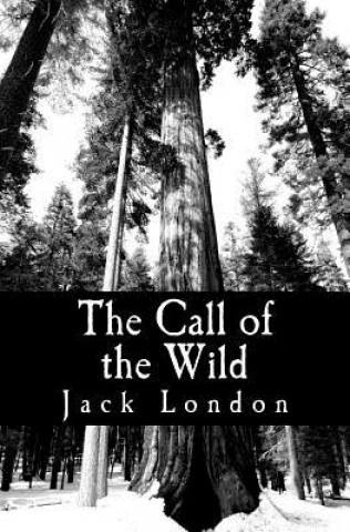 Boek The Call of the Wild Jack London
