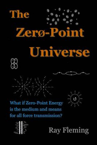 Knjiga The Zero-Point Universe Ray Fleming