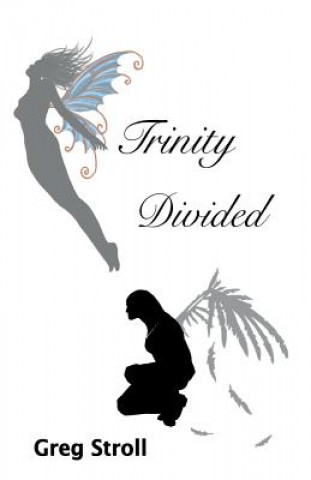 Knjiga Trinity Divided Greg Stroll