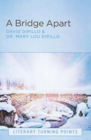 Książka A Bridge Apart (Literary Turning Points) David Dipillo