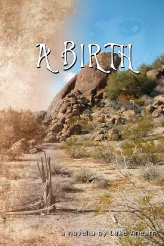 Kniha A Birth: a novella Luke Ahearn