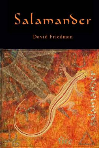 Kniha Salamander David D Friedman