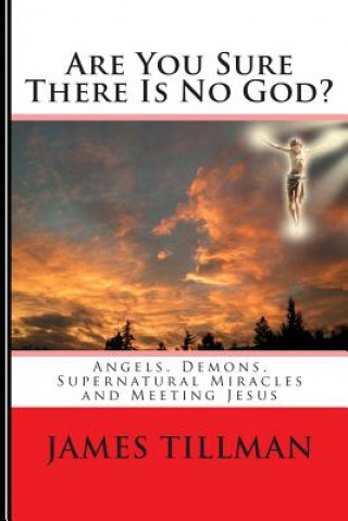 Könyv Are You Sure There Is No God?: A book of miracles including my warning from Jesus himself James Tillman