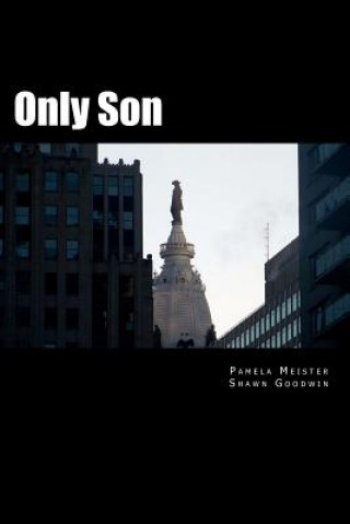 Buch Only Son Pamela Meister