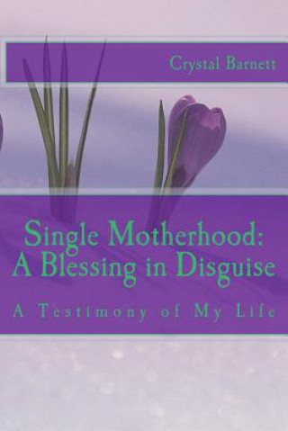 Kniha Single Motherhood: A Blessing In Disguise: A Testimony of My Life MS Crystal L Barnett