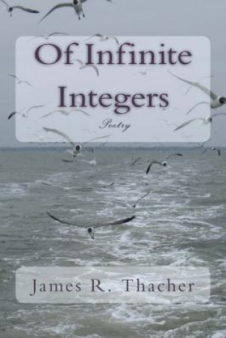 Knjiga Of Infinite Integers James R Thacher