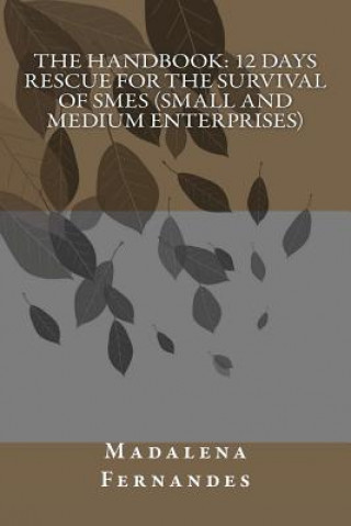 Kniha The Handbook: 12 days rescue for the Survival of SMEs (Small and Medium Enterprises) MS Madalena Fernandes