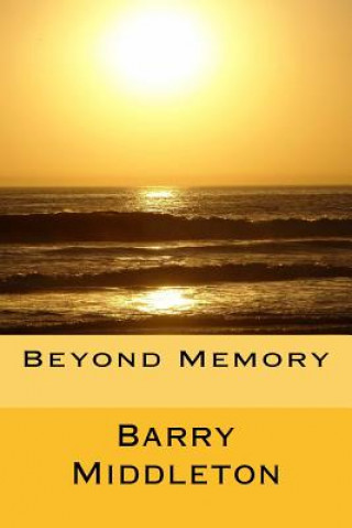 Buch Beyond Memory Barry Middleton