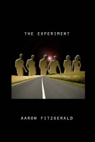 Knjiga The Experiment Aaron Fitzgerald