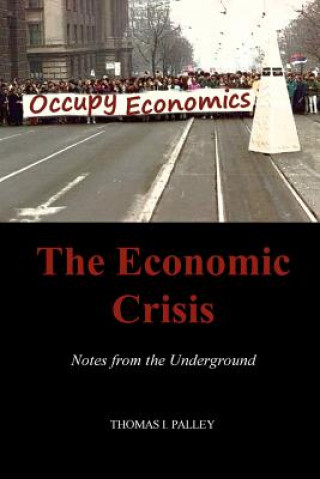 Book The Economic Crisis: Notes from the Underground Thomas I Palley