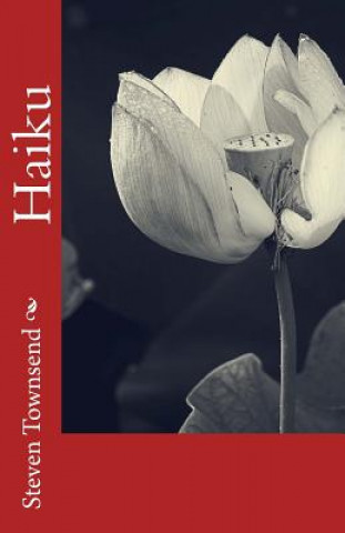 Kniha Haiku MR Steven Roy Townsend