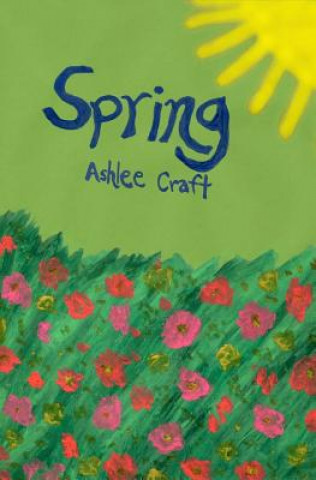 Livro Spring Ashlee Craft