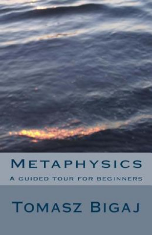Könyv Metaphysics: A guided tour for beginners Tomasz Bigaj