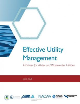 Książka Effective Utility Management: A Primer for Water and Wastewater Utilities Environmental Protection Agency