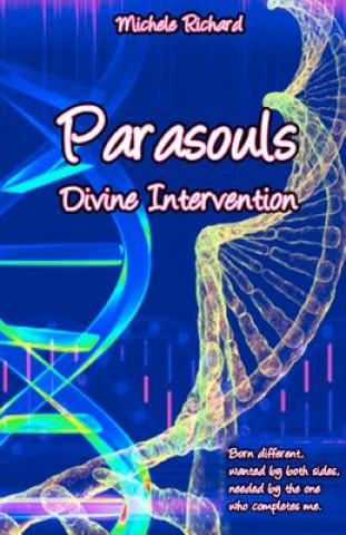 Kniha Parasouls: Divine Intervention Michele Richard