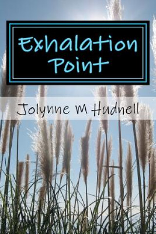 Könyv Exhalation Point Jolynne M Hudnell