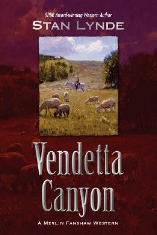Kniha Vendetta Canyon Stan Lynde