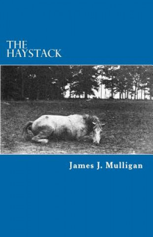 Knjiga The Haystack James J Mulligan