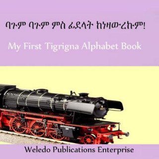 Kniha My First Tigrigna Alphabet Book Weledo Publications Enterprise