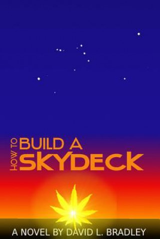 Książka How to Build A Skydeck David L Bradley