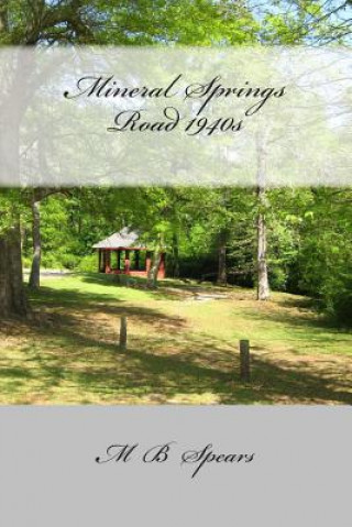 Libro Mineral Springs Road 1940s: Memory Is My Name M B Spears