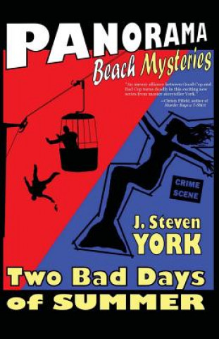 Könyv Two Bad Days of Summer J Steven York