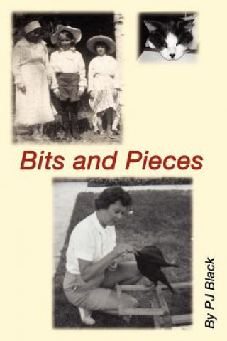 Kniha Bits and Pieces: Some of My Favorite Things P J Black