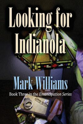 Könyv Looking for Indianola Mark J Williams