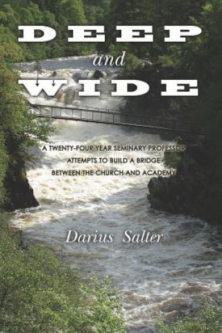 Könyv Deep and Wide: A Twenty-Four Year Seminary Professor Attempts to Build a Bridge Between the Church and the Academy Darius L Salter