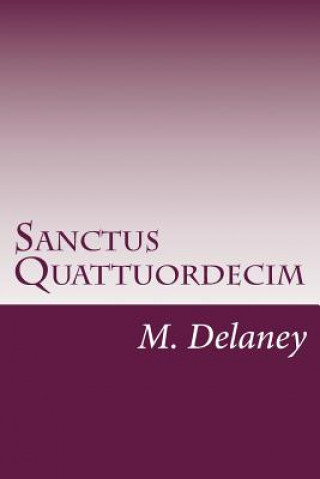 Könyv Sanctus Quattuordecim: Daemonolatry Sigil Magick M Delaney