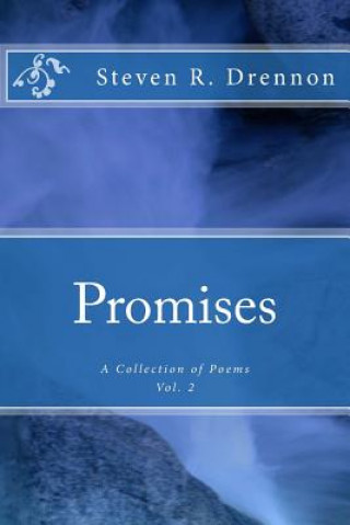 Knjiga Promises Steven R Drennon
