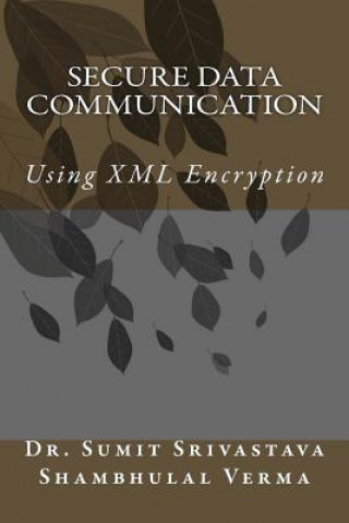 Knjiga Secure Data Communication: Using XML Encryption MR Shambhulal Verma