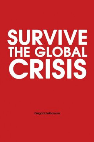 Kniha Survive the Global Crisis Gregor Schellhammer