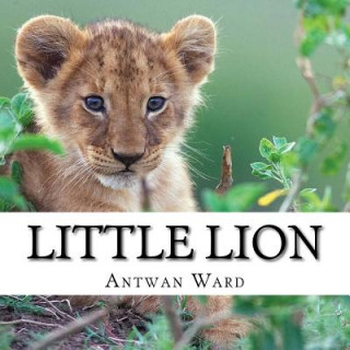 Książka Little Lion Antwan Ward