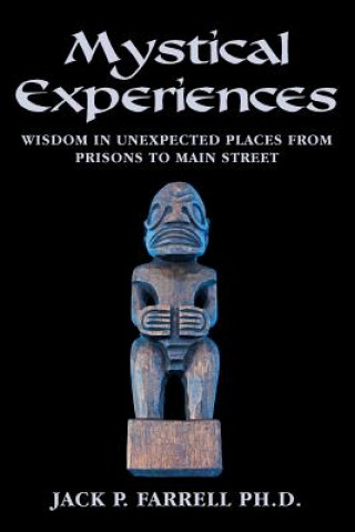 Boek Mystical Experiences: Wisdom In Unexpected Places From Prisons to Main Street: Wisdom in Unexpected Places From Prisons to Main Street Jack P Farrell Ph D