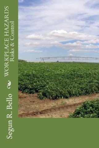 Buch Workpalce Hazards Risks & Control Engr Segun R Bello