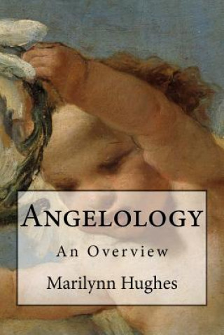 Book Angelology Marilynn Hughes