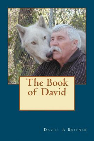 Kniha The Book of David David A Britner